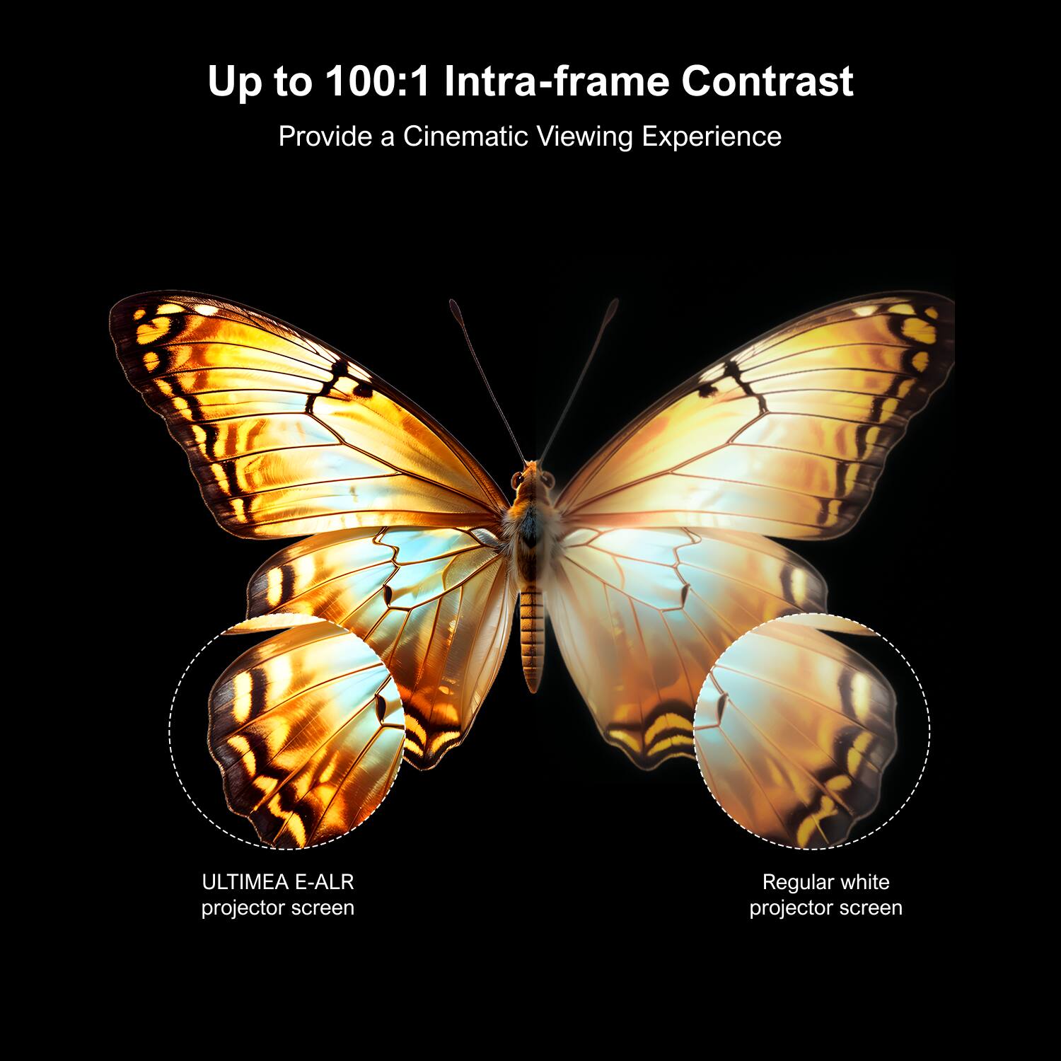 Up to 100:1 Intra-frame Contrast  
Provide a Cinematic Viewing Experience  

ULTIMEA E-ALR projector screen  

Regular white projector screen