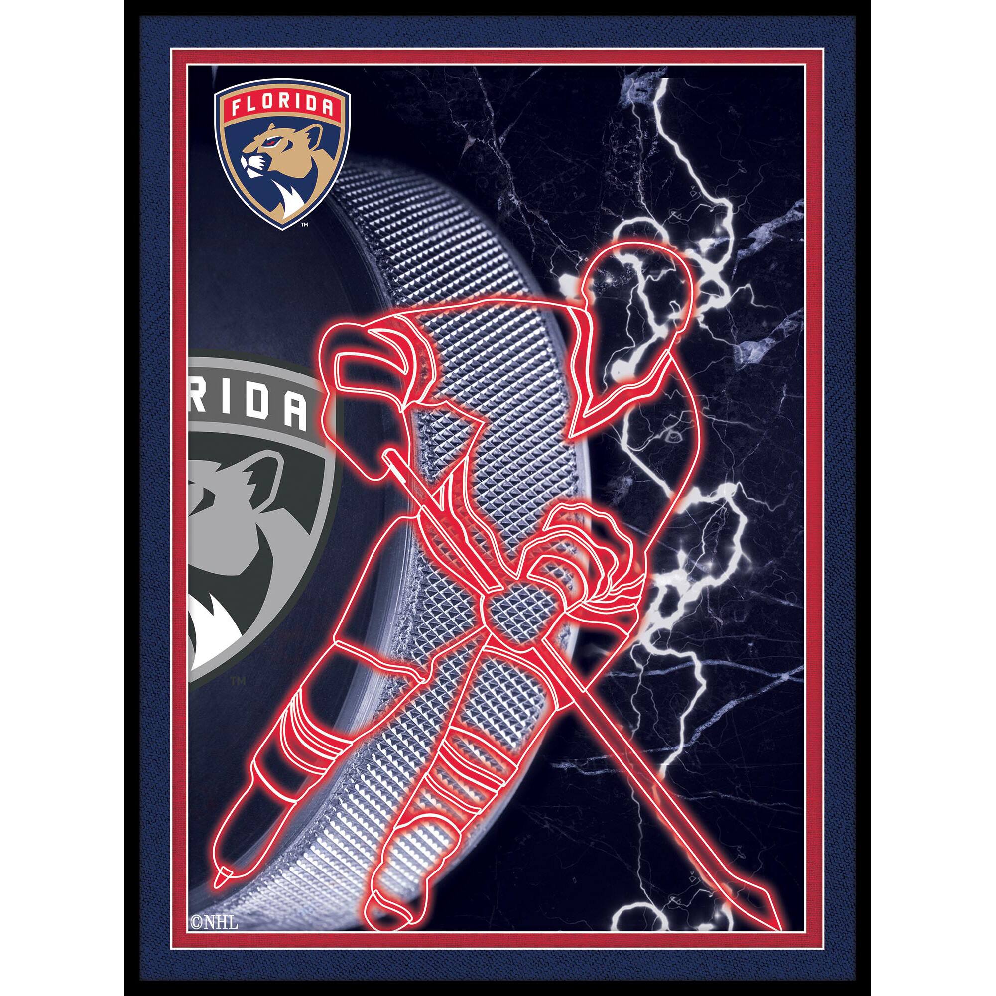 Black Florida Panthers 12'' x 16'' Framed Neon Player Print