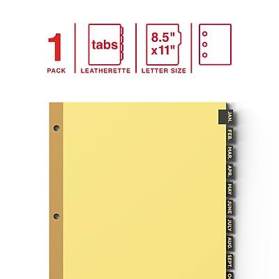 1 PACK  
LEATHERETTE  
8.5" x 11" LETTER SIZE  

JAN. FEB. MAR. APR. MAY JUNE JULY AUG. SEPT. OCT. NOV. DEC.