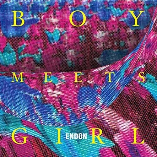 Endon - Boy Meets Girl   - VINYL LP price history on PriceWatchPro