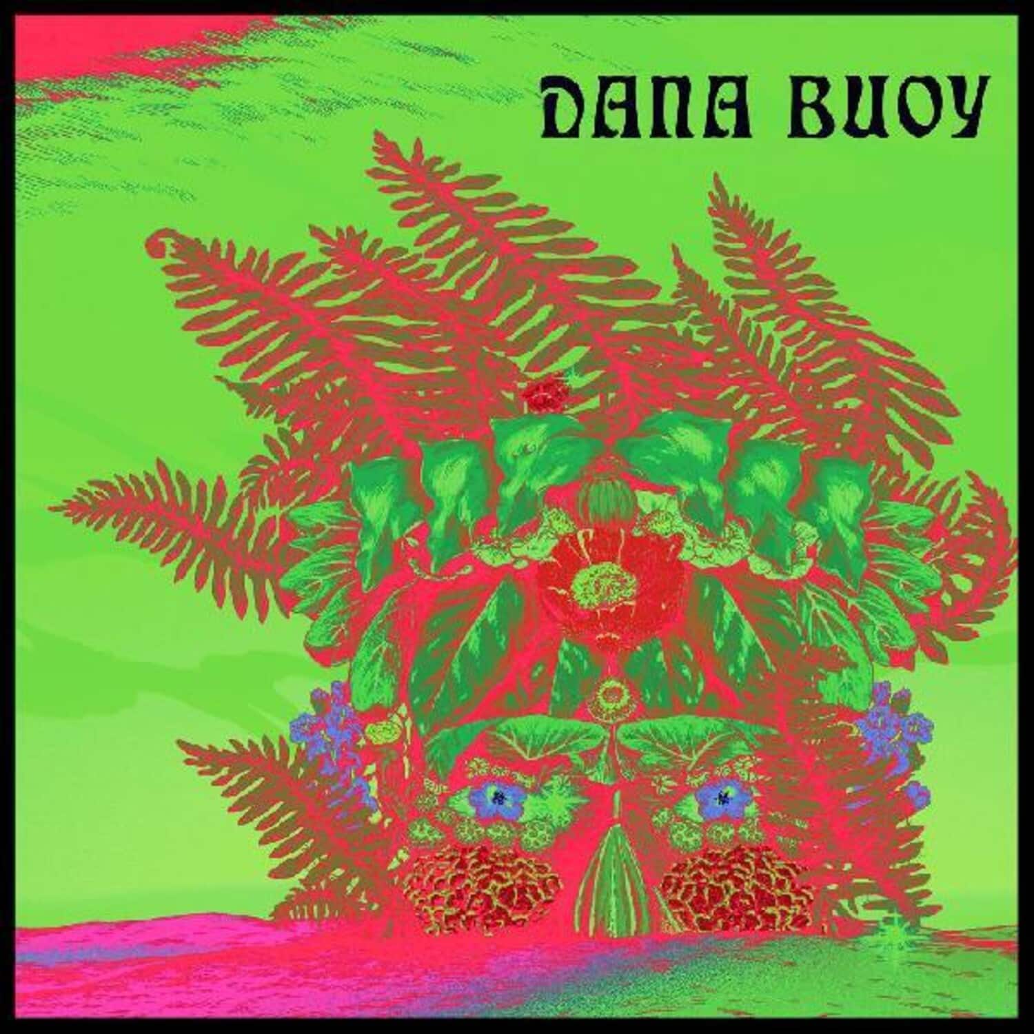 Dana Buoy - Experiments In Plant Based Music 1   - COMPACT DISCS [CD] price history on PriceWatchPro