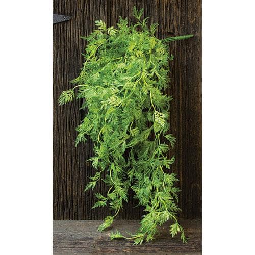 BreeBe - Badium Hanging Bush - Green