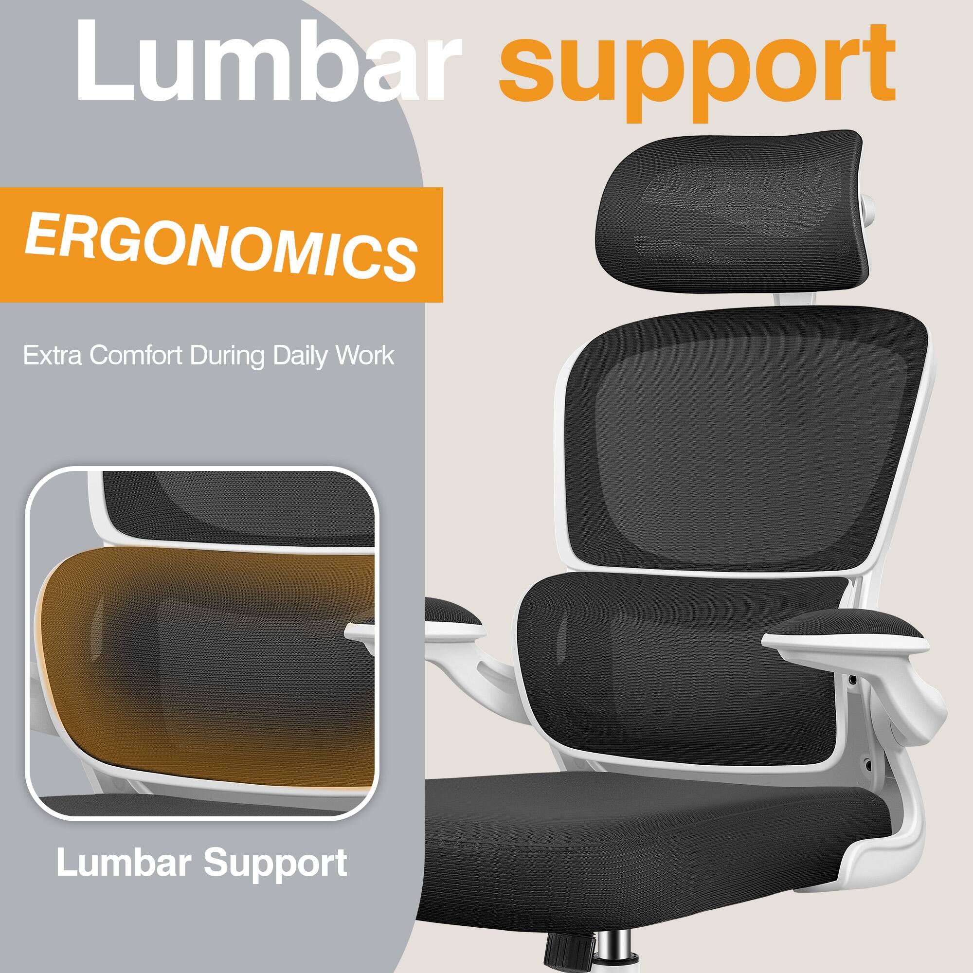 Lumbar support  
ERGONOMICS  
Extra Comfort During Daily Work  
Lumbar Support