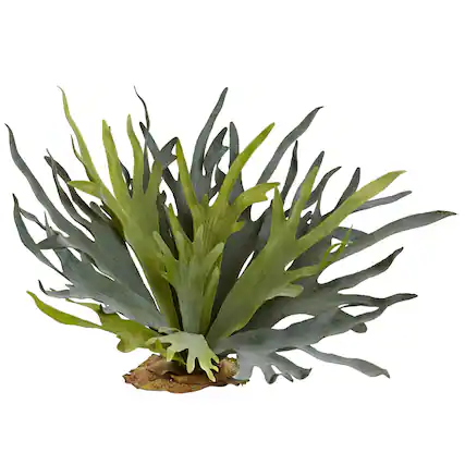Front. BreeBe - 21" Staghorn Fern (Set of 2) - Green.