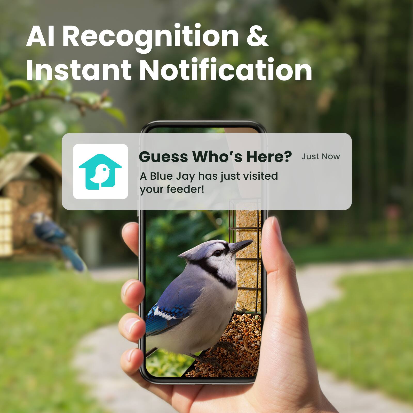 AI Recognition & Instant Notification

Guess Who's Here?  
Just Now  
A Blue Jay has just visited your feeder!