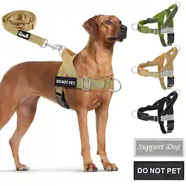 Paradigms Interiors - No Pull Dog Harness - And Leash Set For Dogs Reflective With Soft Padded Front Clip Easy Walk - Tan-Small