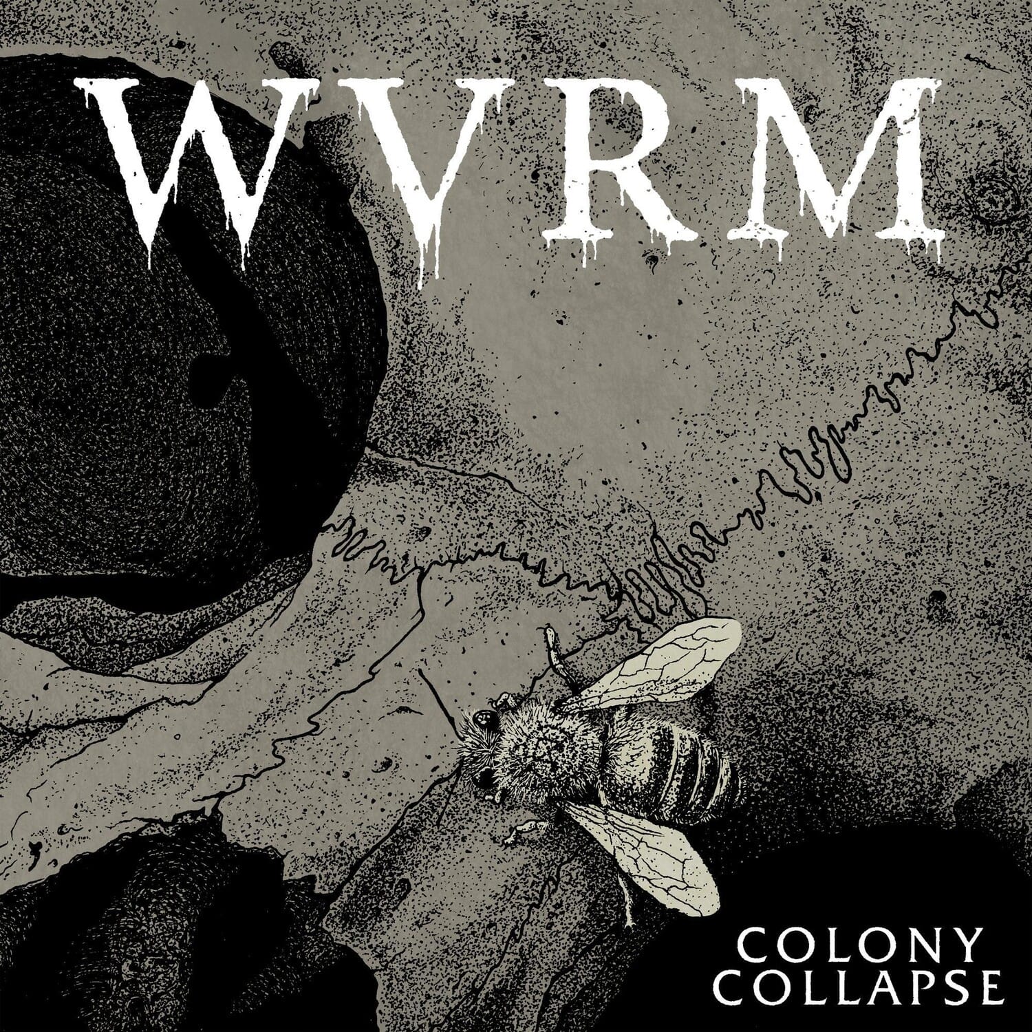 WVRM - Colony Collapse  - COMPACT DISCS