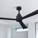 Alt View 1. Parrot Uncle - 52" Modern 3-Blade Ceiling Fan with Reversible DC Motor, 6-Speed, Remote Control, No Light - Black.