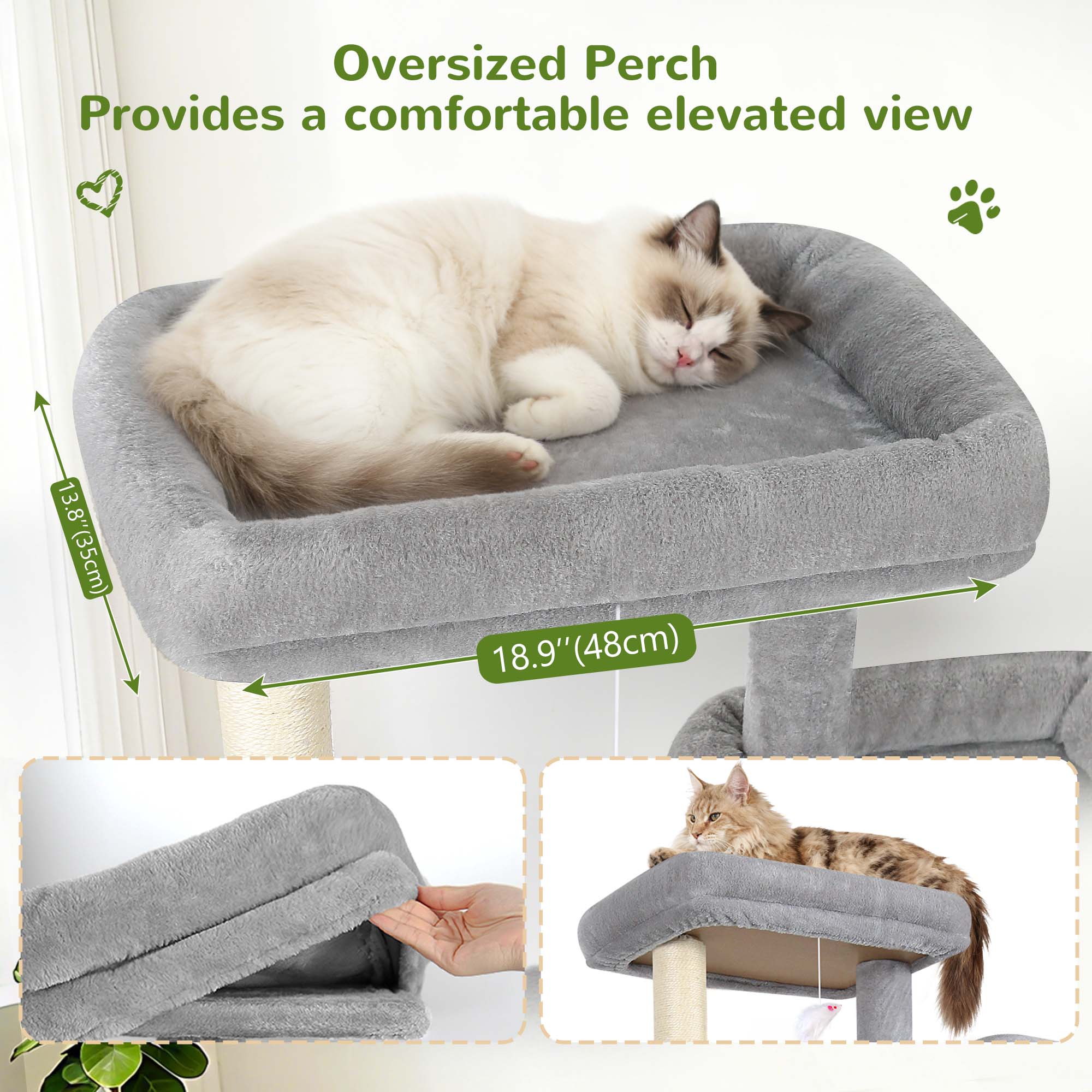 Oversized Perch Provides a comfortable elevated view

13.8" (35cm)
18.9" (48cm)