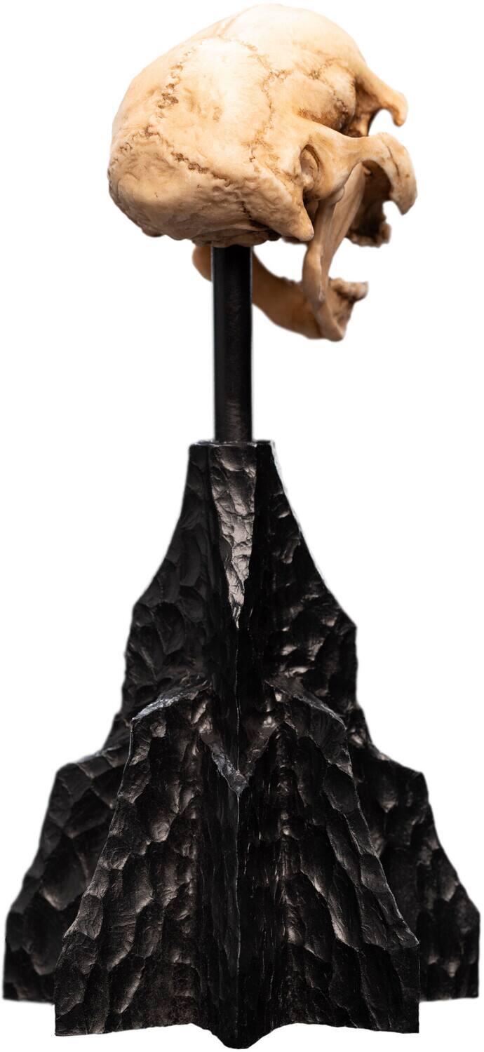 Alt View 4. Weta Workshop - WETA Workshop Polystone - The Lord of the Rings Trilogy - Skull of a Moria Orc Polystone Statue   - COLLECTIBLES - Multicolor.