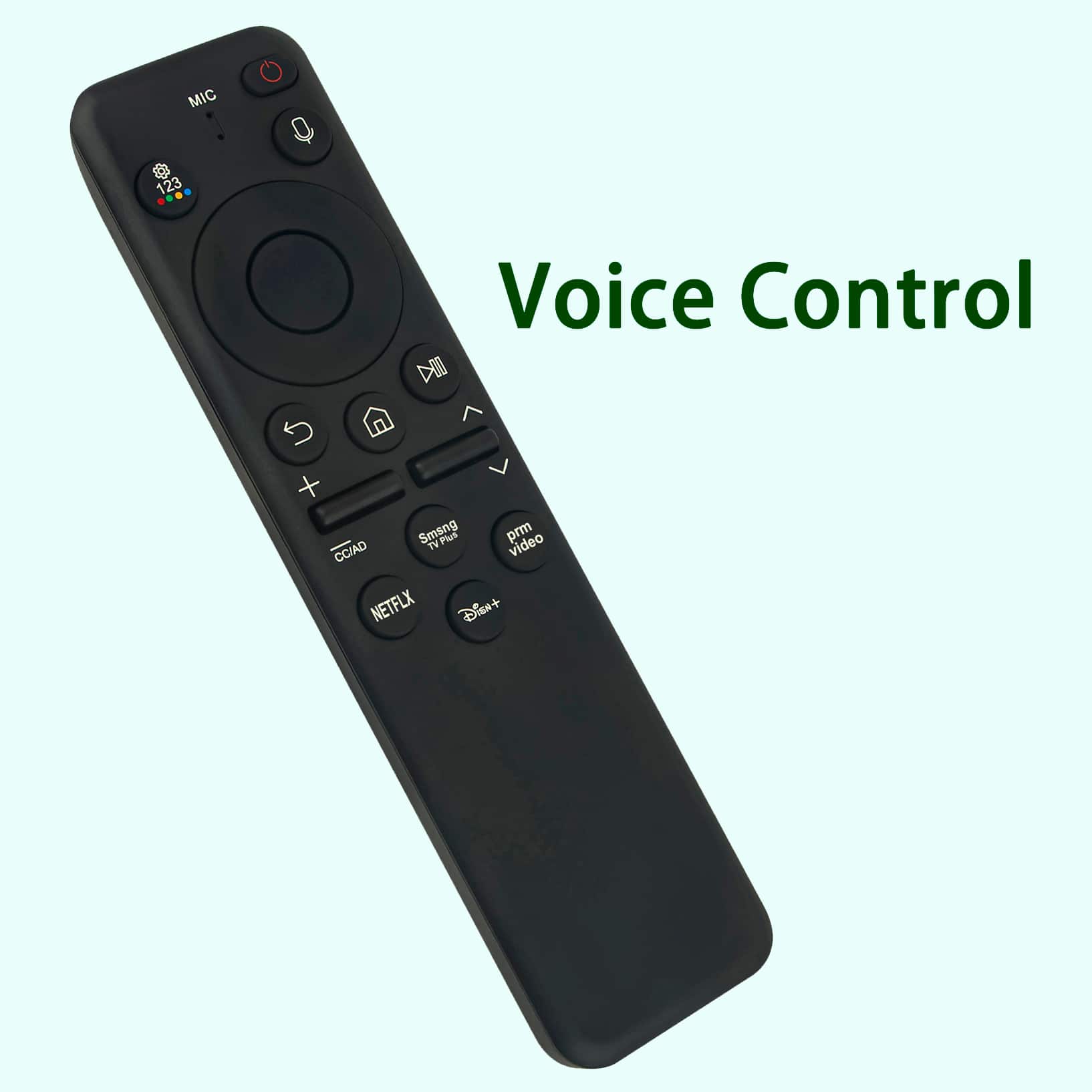 MIC 123 Voice Control + Smang TV Plud prm video CCIAD NETFLX Disn+