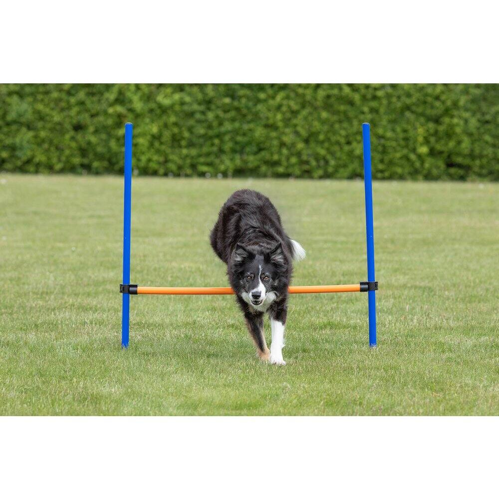 Alt View 3. TRIXIE - Dog Agility Hurdle, Obstacle Training - Blue/Orange.