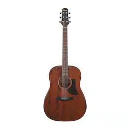 Ibanez - AAD140 Advanced 6-String Acoustic Guitar (Open Pore Natural)