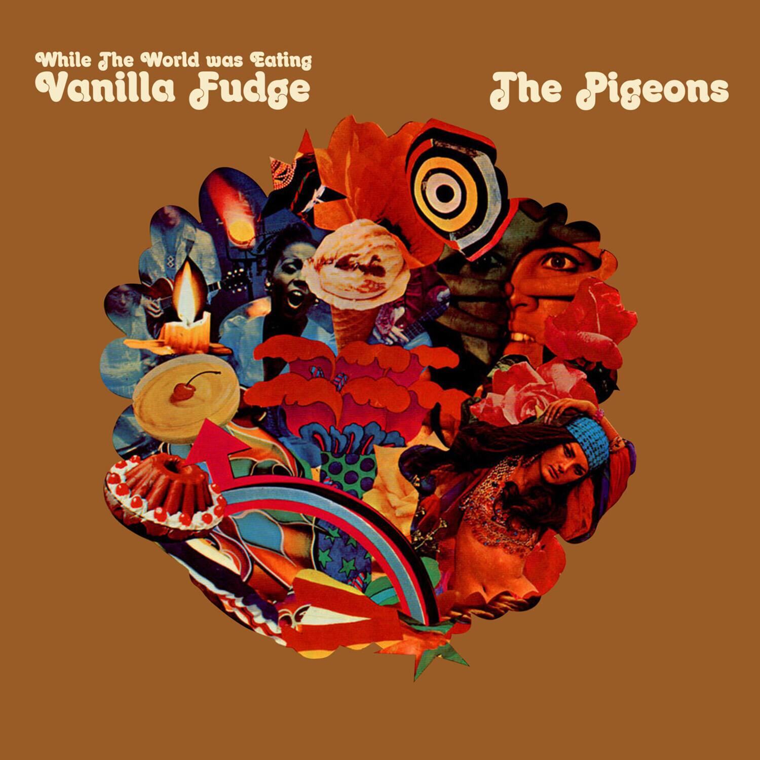 Pigeons / Stein,Mark - While The World Was Eating Vanilla Fudge   - COMPACT DISCS [CD]