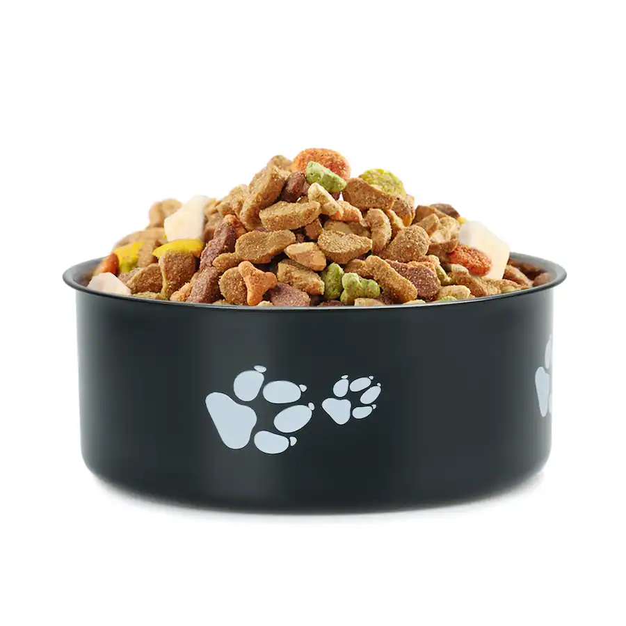 Dog Bowl Pattern Supet Cartoon Footprint Stainless Steel Dog Bowl Black - Best Buy