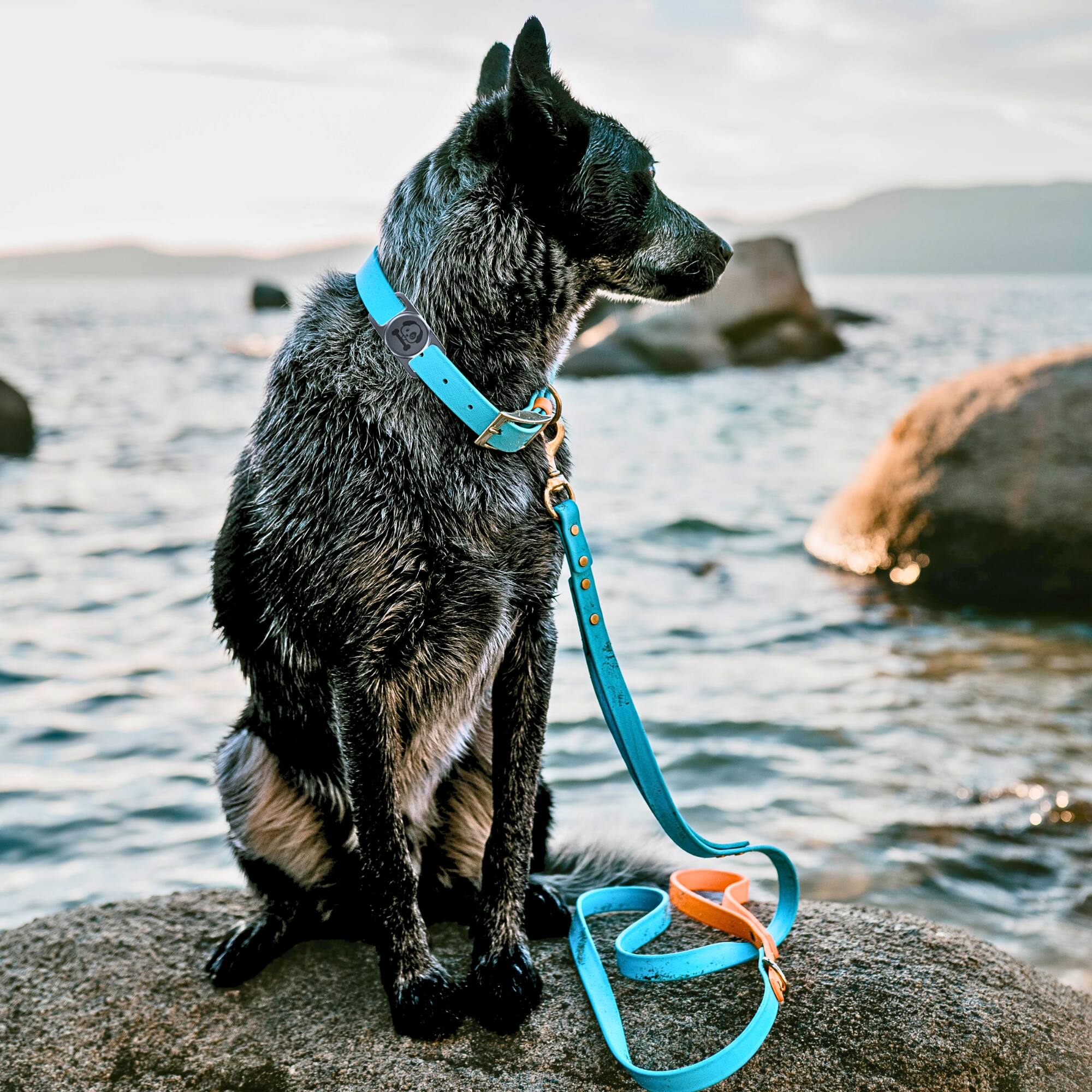 Alt View 1. PawFurEver - Waterproof AirTag Collar Holder for Dogs & Cats, 2-Pack - Black.