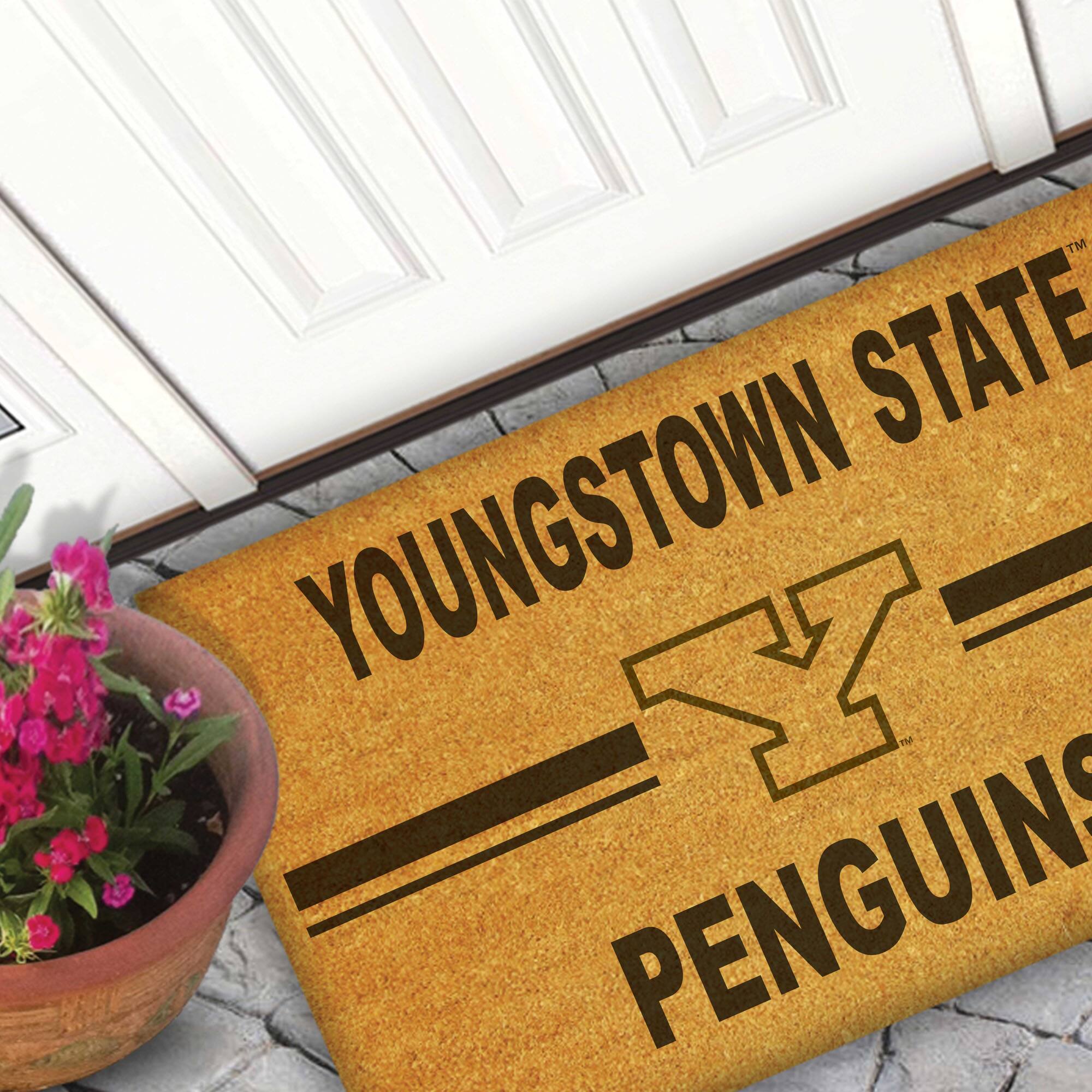 YOUNGSTOWN STATE  
PENGUINS