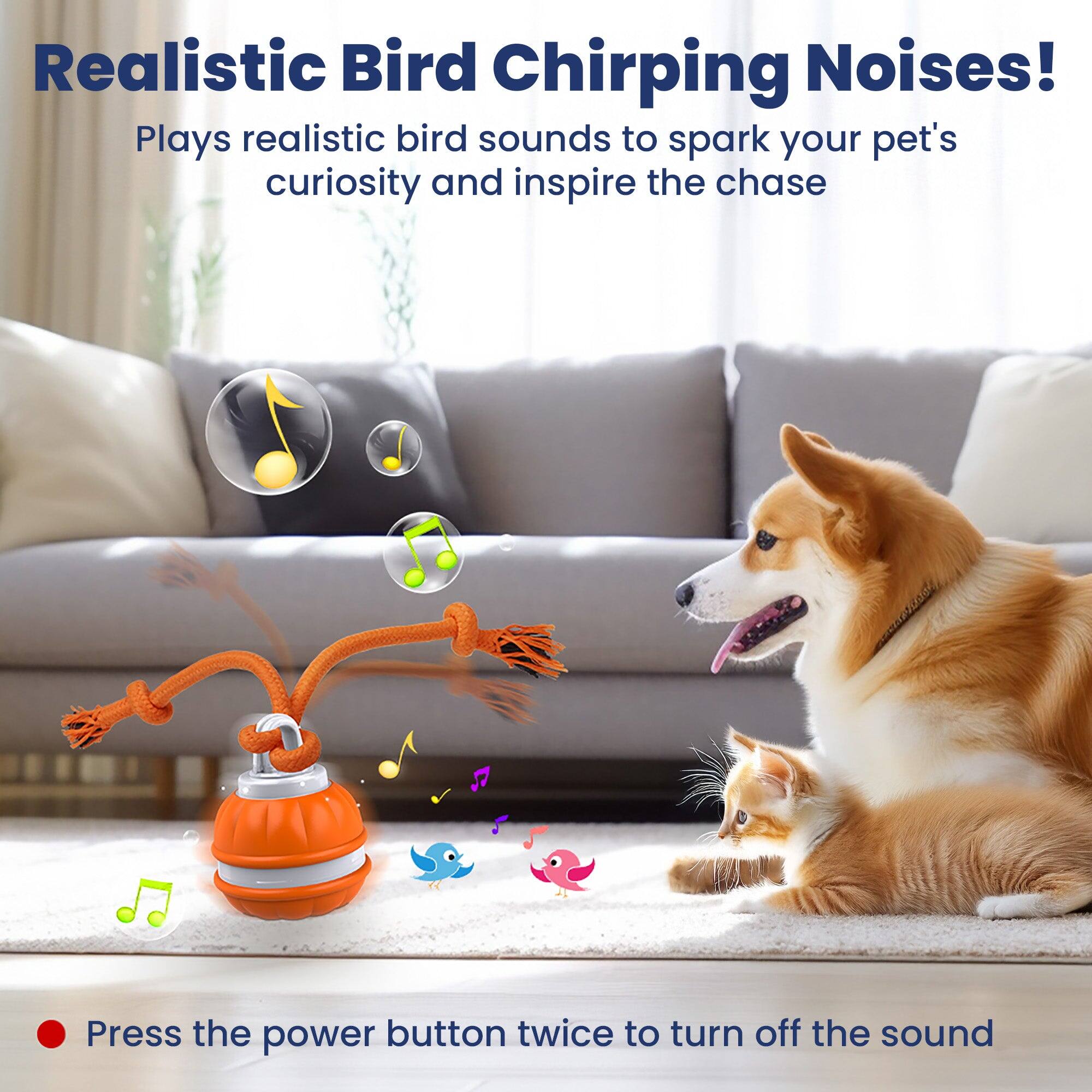 Realistic Bird Chirping Noises!  
Plays realistic bird sounds to spark your pet's curiosity and inspire the chase  

Press the power button twice to turn off the sound