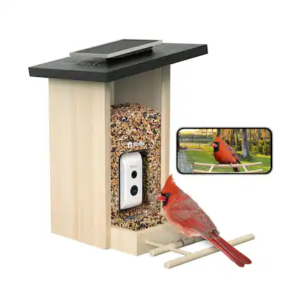 Birdify