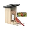 BIRDFY - Smart Bird Feeder with Camera and Solar Panel, AI Bird ID(7-Day Free Trial), 1080P HD Live View, Gift for Bird Lovers - Natural Wood Finish & Black