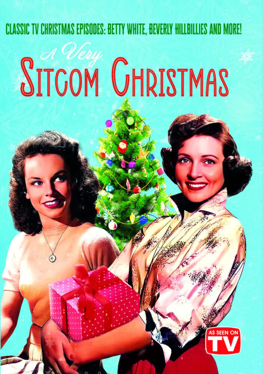 A Very Sitcom Christmas  - DVD