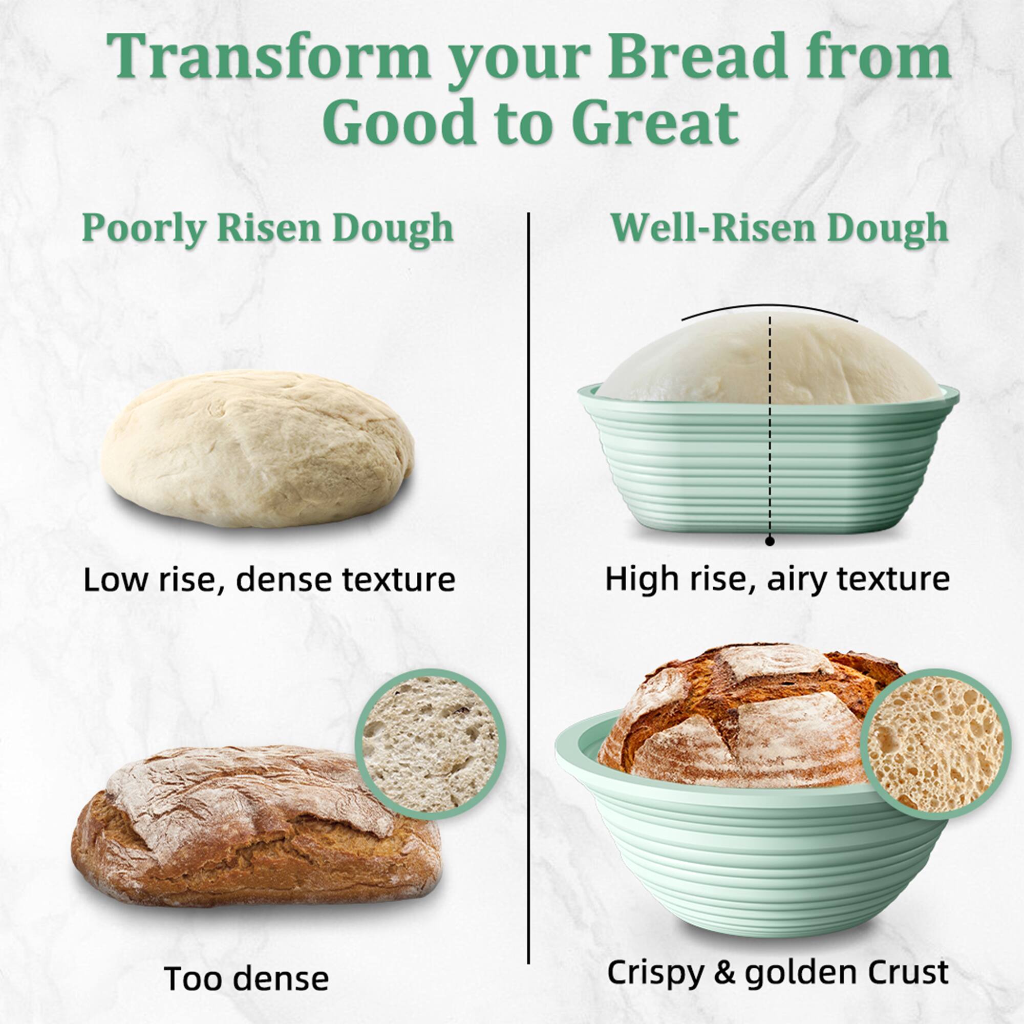 Transform your Bread from Good to Great

Poorly Risen Dough
- Low rise, dense texture
- Too dense

Well-Risen Dough
- High rise, airy texture
- Crispy & golden Crust
