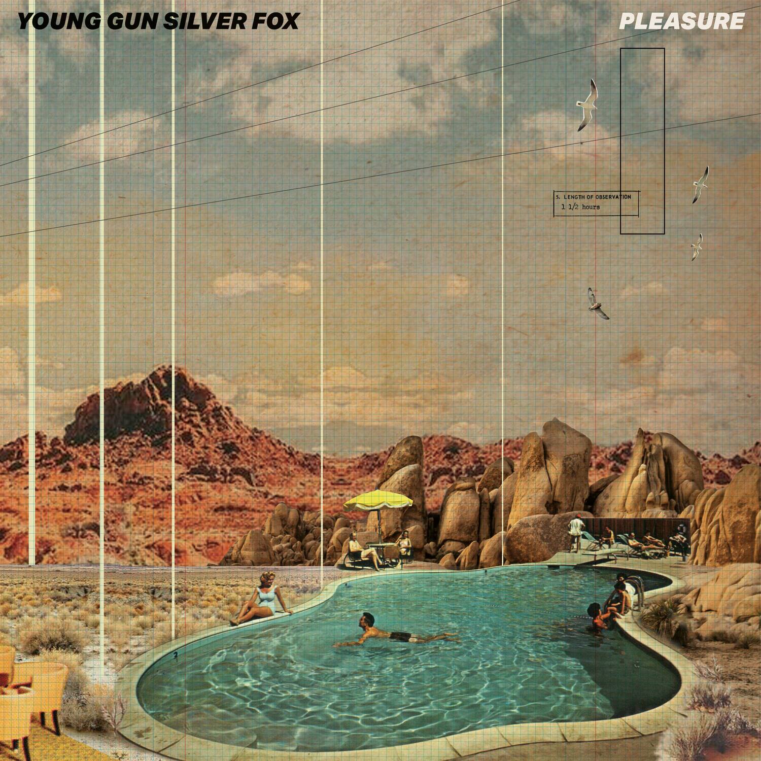 YOUNG GUN SILVER FOX  
PLEASURE  
5. LENGTH OF OBSERVATION  
1 1/2 hours