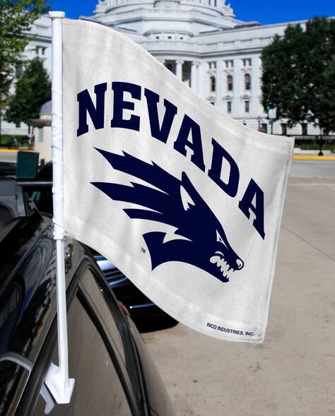 NEVADA  
RICO INDUSTRIES, INC.