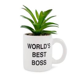Silver Buffalo - The Office "World's Best Boss" 3-Inch Ceramic Mini Planter With Artificial Succulent - White