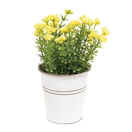 BreeBe - Yellow Astilbe Flowers in White Metal Garden Bucket - Yellow, White