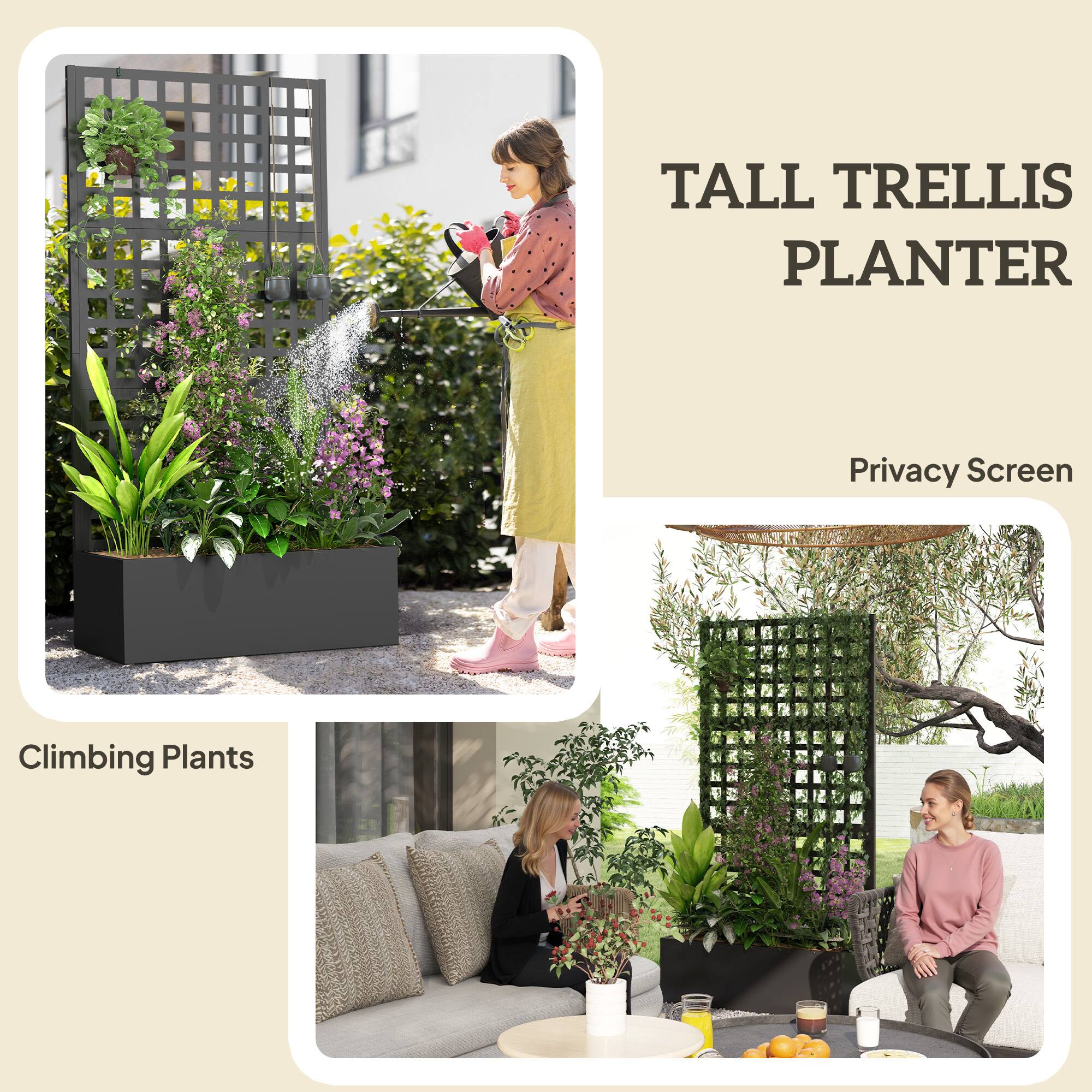 TALL TRELLIS PLANTER

Privacy Screen

Climbing Plants