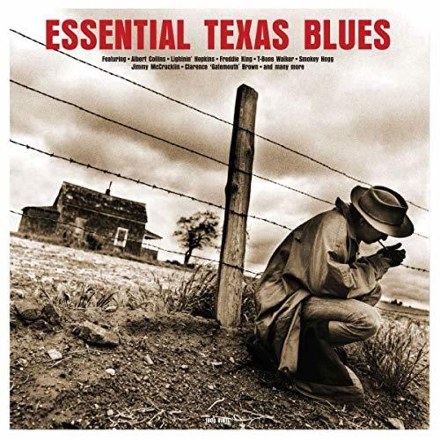 Various Artists - Essential Texas Blues / Various (180gm Vinyl)   - VINYL LP
