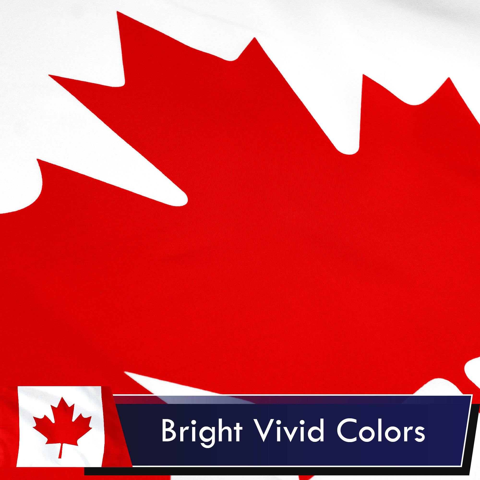 Bright Vivid Colors