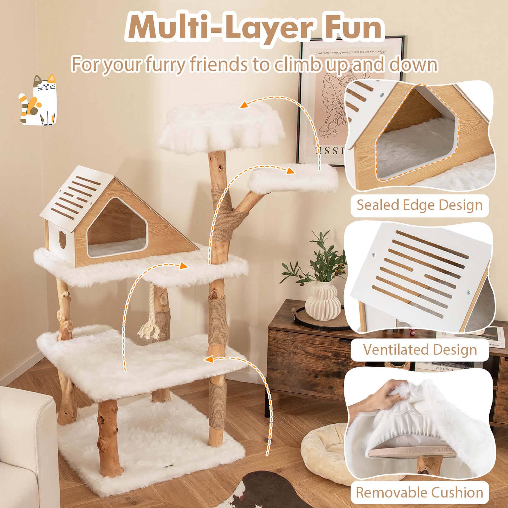 Multi-Layer Fun - For your furry friends to climb up and down

ISS Sealed Edge Design
Ventilated Design
Removable Cushion