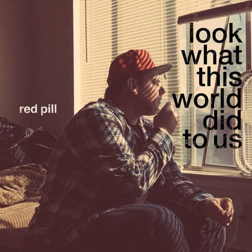 Red Pill - Look What This World Did To Us   - VINYL LP price history on PriceWatchPro