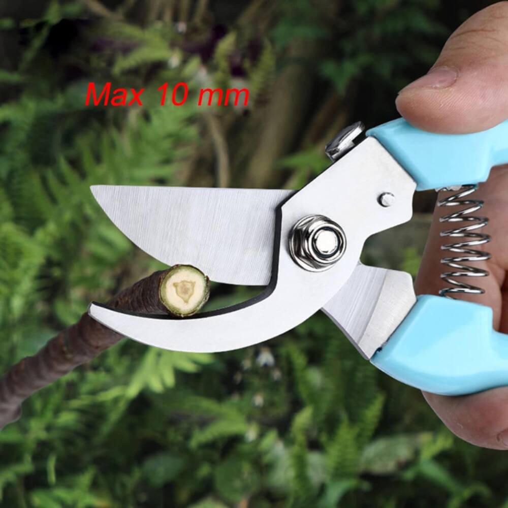 Alt View 1. Alchemy Casas - CURVED STAINLESS PRUNING SHEARS - Blue - Blue.