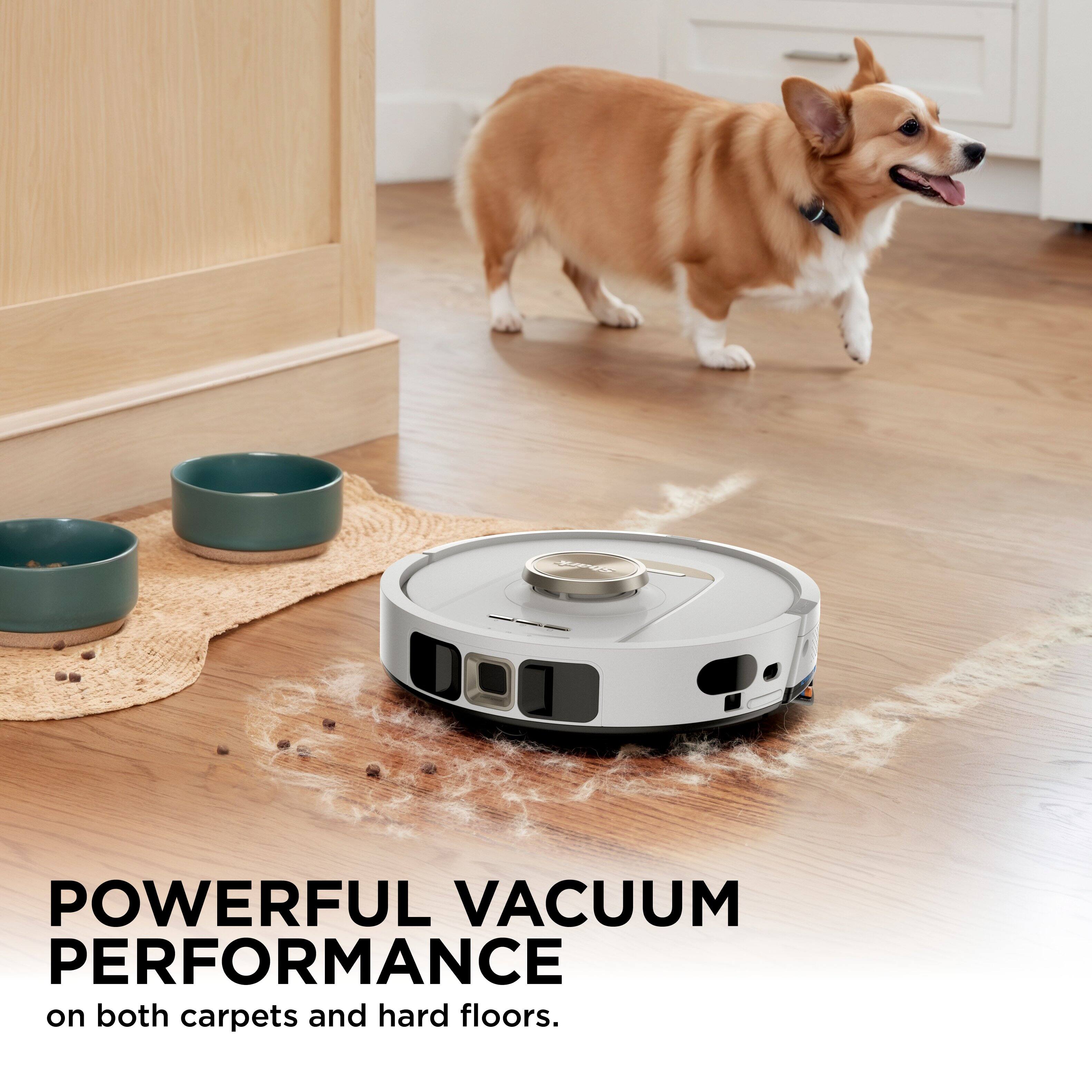 POWERFUL VACUUM PERFORMANCE  
on both carpets and hard floors.