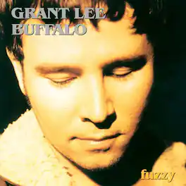 Grant Lee Buffalo - Fuzzy - 2023 Remaster - VINYL LP
