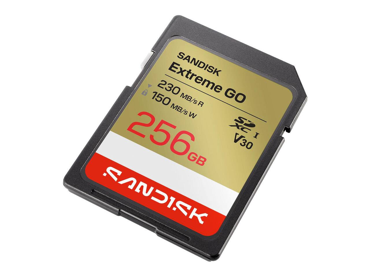 SANDISK Extreme GO 256GB  
230 MB/s R  
150 MB/s W  
V30