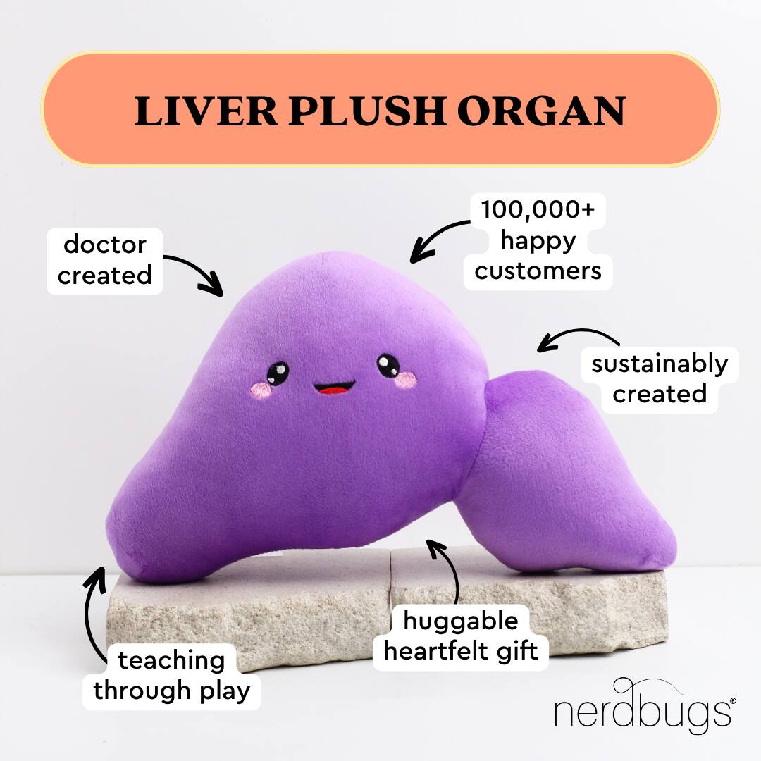 LIVER PLUSH ORGAN

- doctor created
- 100,000+ happy customers
- sustainably created
- teaching through play
- huggable heartfelt gift

nerdbugs®