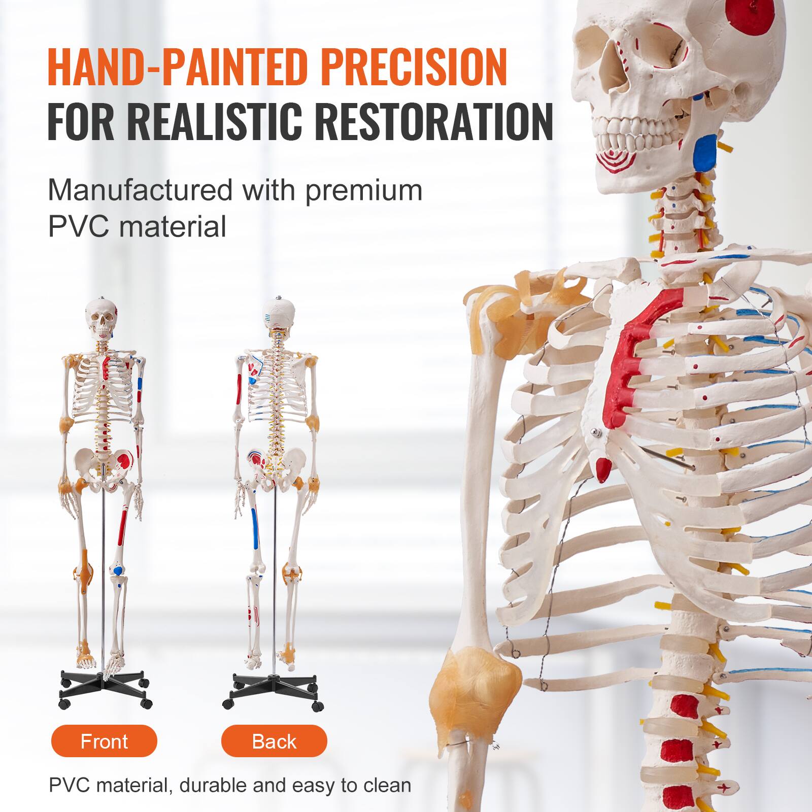 HAND-PAINTED PRECISION FOR REALISTIC RESTORATION

Manufactured with premium PVC material

Front Back

PVC material, durable and easy to clean