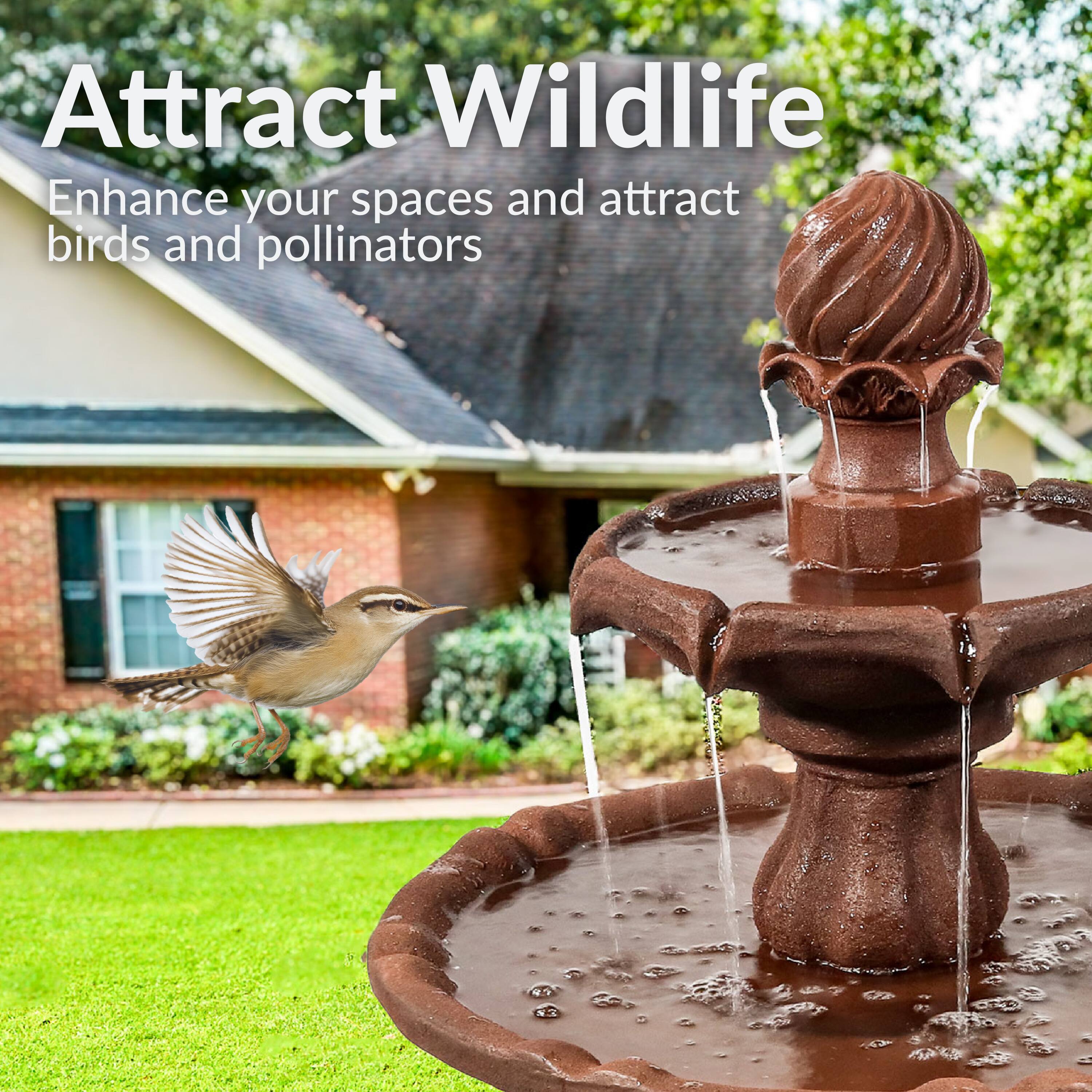 Attract Wildlife  
Enhance your spaces and attract birds and pollinators