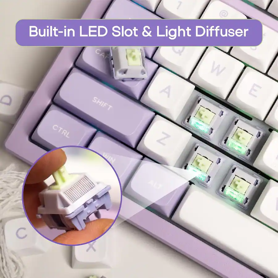 EPOMAKER Wisteria V2 Linear Keyboard Switches Set, with Light Diffuser ...