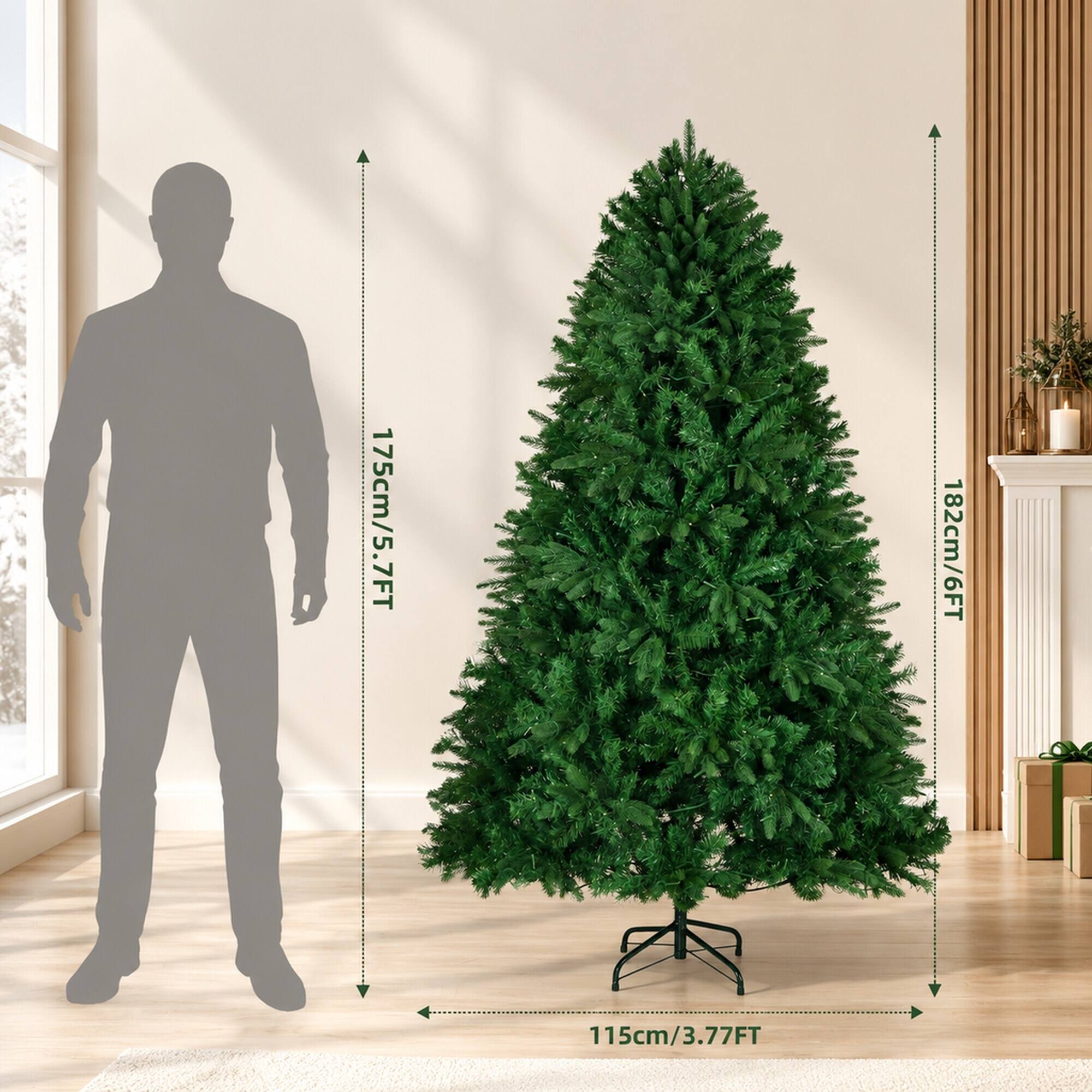 175cm/5.7FT  
182cm/6FT  
115cm/3.77FT
