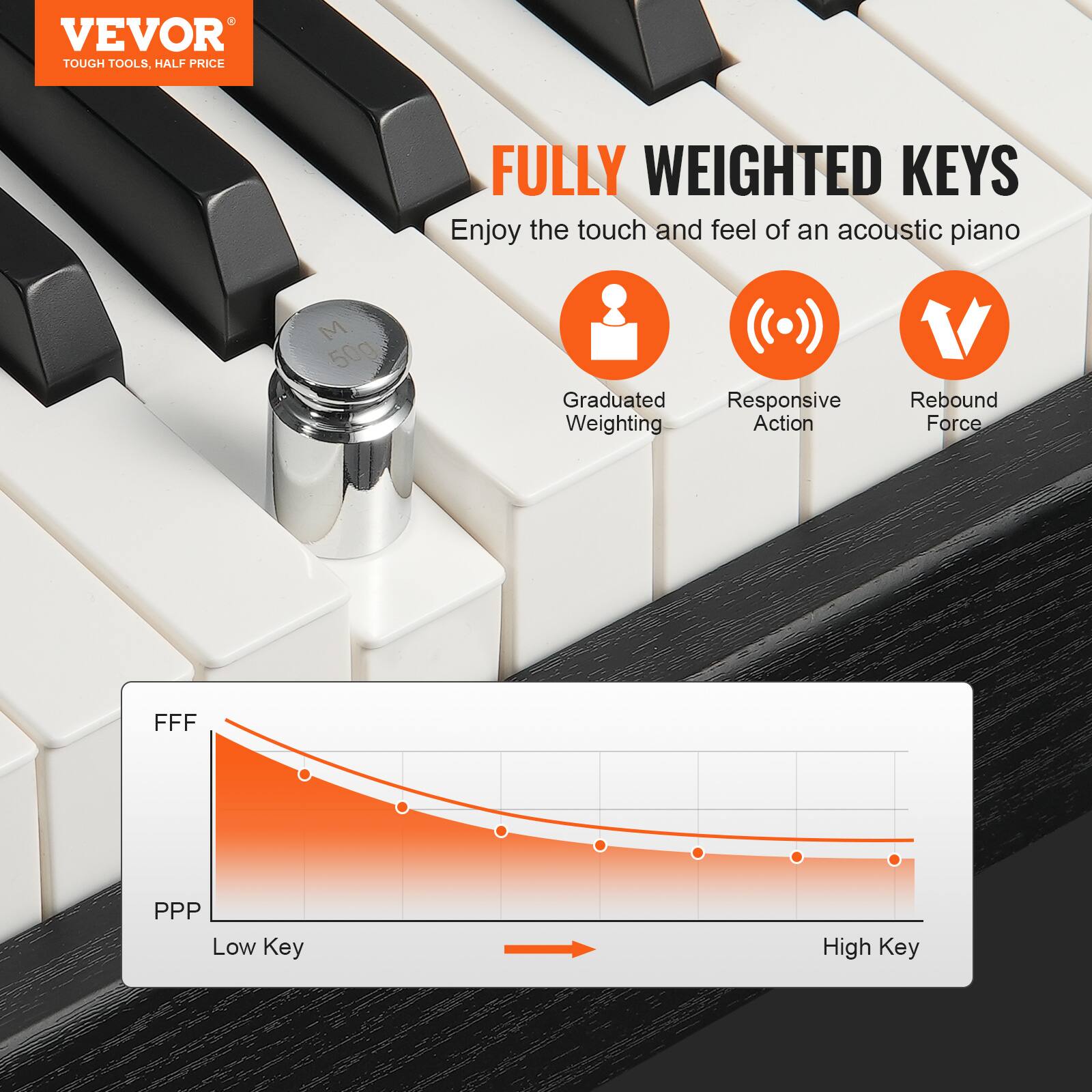 VEVOR  
TOUGH TOOLS, HALF PRICE  

FULLY WEIGHTED KEYS  
Enjoy the touch and feel of an acoustic piano  

- Graduated Weighting  
- Responsive Action  
- Rebound Force  

M 50g  

FFF  
PPP  
Low Key  
High Key
