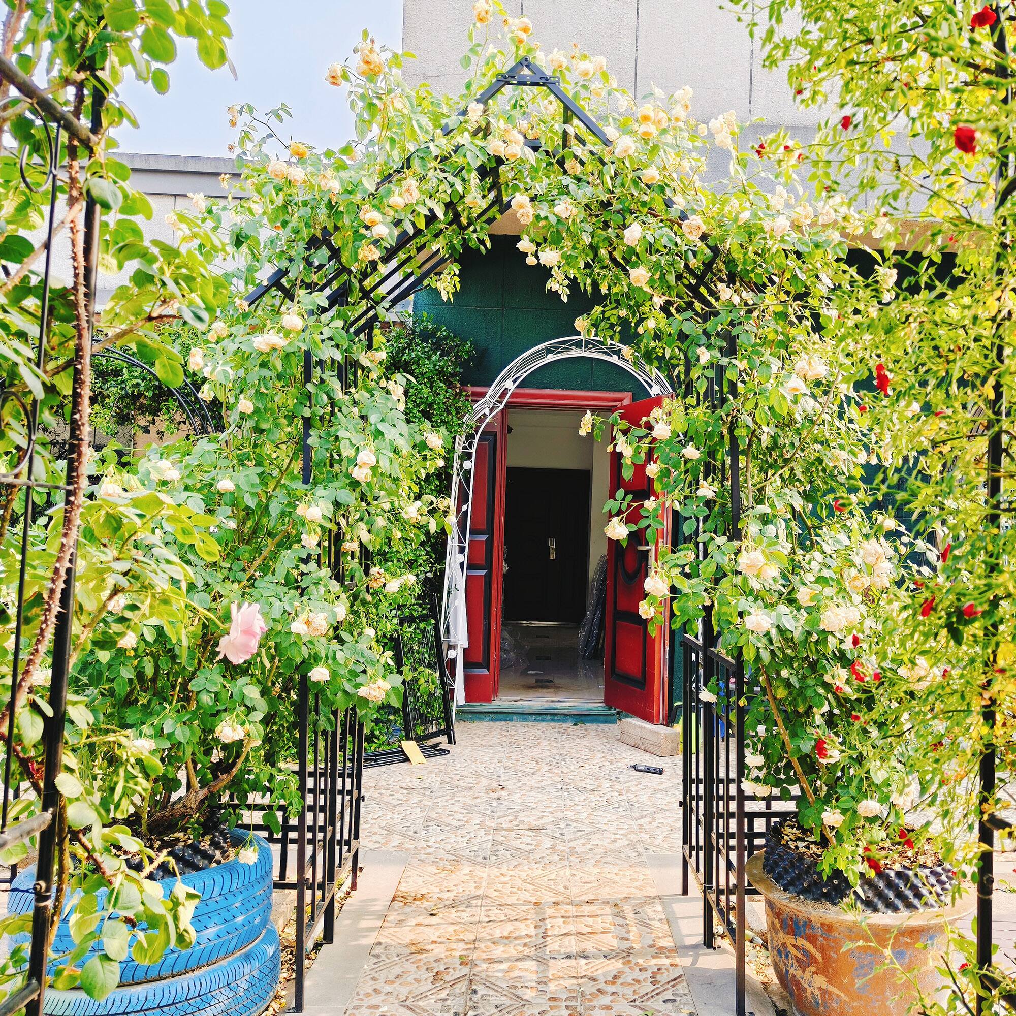 Back. Loheer - Adjustable Metal Garden Arch 3.54 to 6.51 ft Wide Rose Trellis for Outdoor Wedding Ceremony Yard - Black.