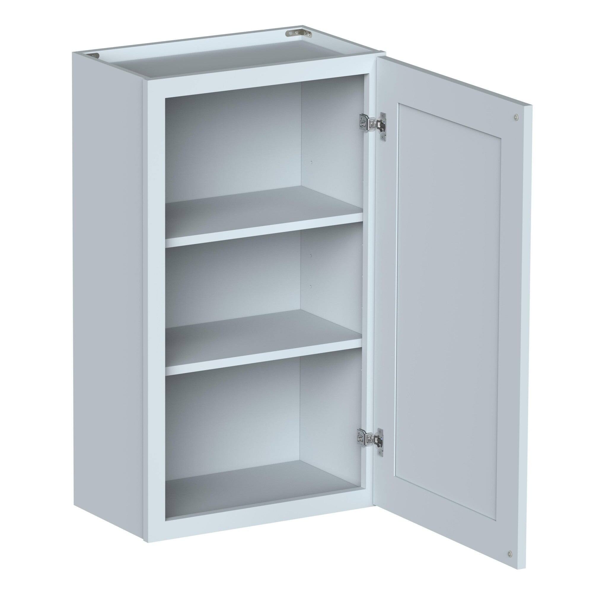 Alt View 2. Boyel Living - 21in.W x12in.D x36in.H Dove Gray WALL CABINET Fully assembled Cabinet With One HDF Door - Gray.