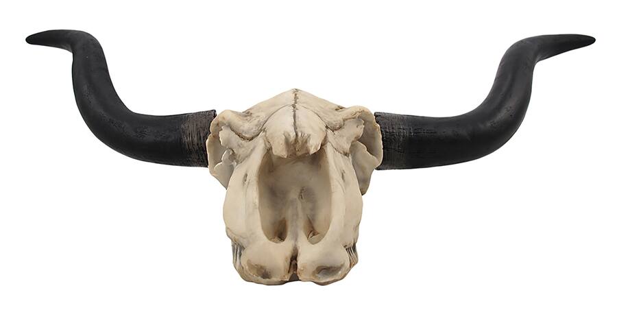 Zeckos Huge Wall Hanging Longhorn Cow Skull 27in Wide Resin Long Horn ...