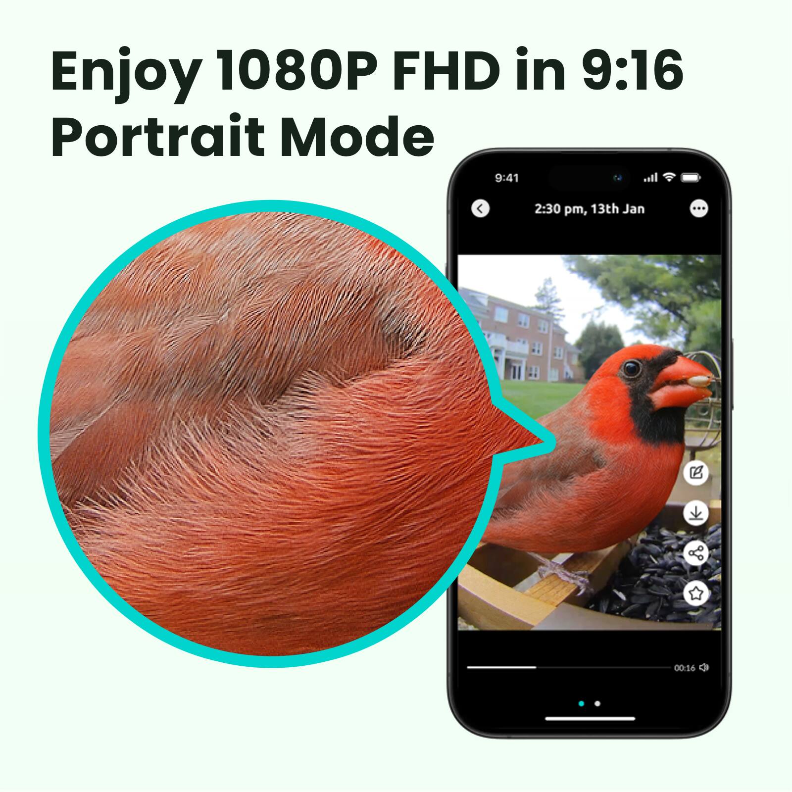 Enjoy 1080P FHD in 9:16 Portrait Mode

9:41
2:30 pm, 13th Jan
00:16