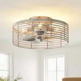 Vaczon - 18" Industrial Caged Ceiling Fan with Light and Remote, 6-Speed Reversible DC Motor, Flush Mount Ceiling Fan - Distressed silver